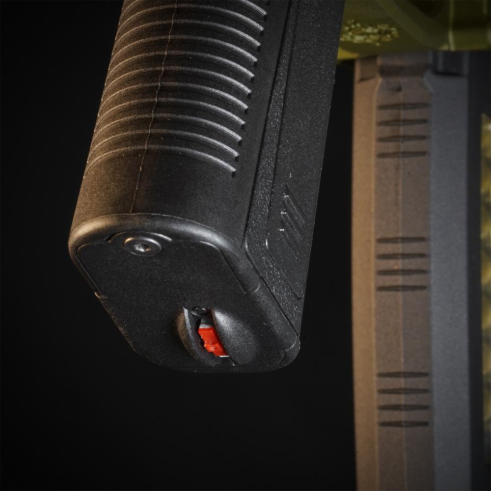 MTW Fossil Collection: Dig 1