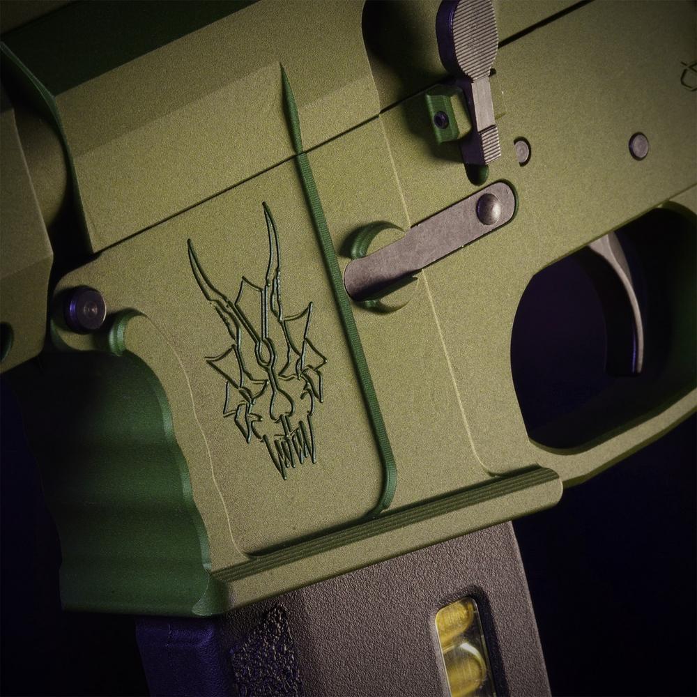 MTW Fossil Collection: Dig 1