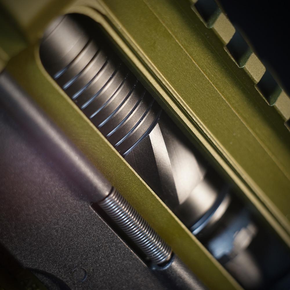 MTW Fossil Collection: Dig 1